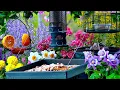 🔴LIVE Cottage Spring Bird Feeder: Cardinals, Woodpeckers, Goldfinches, Nature Sounds, Sleep, Cat TV