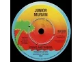 Download Lagu [1976] Junior Murvin • Police and Thief