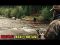 Download Lagu 30 Pertemuan Paling Menakutkan dengan Bigfoot yang Tertangkap Saat Berkemah