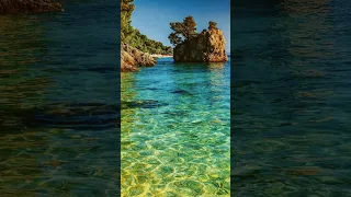 الدعاء يارب فقد عجز الطبيب داوني يارب محمد محمود الطبلاوي رحمه الله اللهم صلى وسلم على سيدنا محمد 