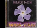 NODA DE CAJU - Pétalas Neon (com letra)