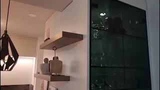                     دندنها