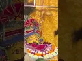 Download Lagu Happy Diwali 🙏🙏🙏🙏jai Shree Shyam 🙏🙏🙏🙏#shyambabamandir #vloggerlifestyle #diwalispecial