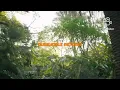 Deep London - Piano Ngijabulise (Official Music Video)Ft Janda_K1, Murumba Pitch,Nkosazana Daughter