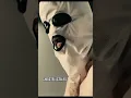 Download Lagu A Serbian Film ⚠️ #reels #shorts #scary
