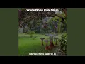 Download Lagu Burung Kecil Biasa