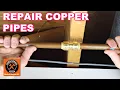 Repair Copper Pipe Leaks with SharkBites Super EASY
