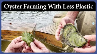 Oyster Farming With Less Plastic – Episode 318 – Acorn to Arabella: Journey of a Wooden Boat