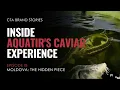 EP18 Moldova The Hidden Piece Inside Aquatir s Caviar Experience CTA Brand Stories