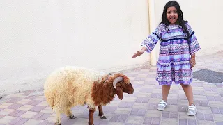 شفا و خروف العيد 