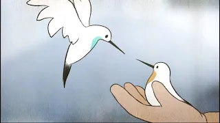 Piro Piro | Bande-annonce officielle HD - Cinéma Public Films