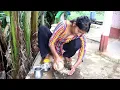 Download Lagu village girl cooks chicken gravy with traditional spices on firewood stove