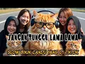 Lagu DJ JANGAN TUNGGU LAMA LAMA SLOW BIKIN CANDU YANG DI TIKTOK BY Yanz Tube