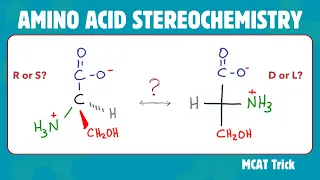 Amino Acid Stereochemistry - R S vs D L