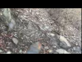 Marty Raney Quarries Stone in Alaska