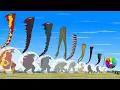Download Lagu Godzilla \u0026 KONG, PYTHON, SHARK, BLOOP: Monster Tail Size Comparison | Godzilla \u0026 KONG Cartoon