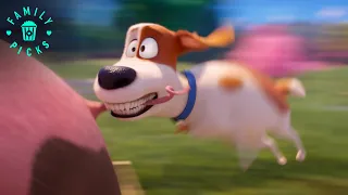 Harrison Ford's Rooster Teaches Max a PRECIOUS Lesson in Courage | The Secret Life of Pets 2