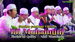 Download GAMBUS PALING DICARI ‼️BIL MUHAIMINI - THOHIRUL QOLBY - 'ALAL MUSTHOFA 😱 KALI INI TEMPONYA BEDA MP3