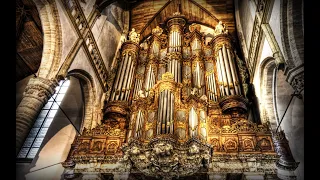 COFFIN DANCE - PIPE CHURCH ORGAN COVER - Astronomia - Tony Igy - remix - na organach kościelnych