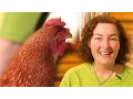 How to Fix An Egg Bound Hen