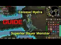 Colossal Hydra Guide - Superior Slayer Monster