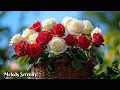 Download Lagu Красивая мелодия, которая трогает до слез🌺Одна из волшебных весенних мелодий🌿Сергей Грищук #2