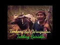 Download Lagu TEMBANG \u0026 WANGSALAN TARLING PUTRA SANGKALA (BARIDIN)