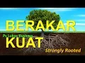 Download Lagu BERAKAR KUAT - Pdt. Lukas Kusuma