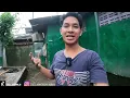 Download Lagu IGUANA BUNTUN9 BERTELUR! TELURNYA BEGINI!!?