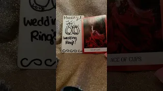 NEXT 48 HOURS Shorts Viralvideo Trending 