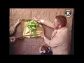 News 8 Throwback 1981 Poway celebrates one year as a city in San Diego County