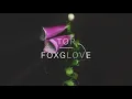 Tor - Foxglove (Official Audio)