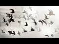 Ludvico Einaudi - Night (Doublepoint Remix)