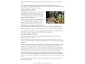 G5L26 Climate Change Monarch Migration Recording