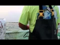 Gill Netting