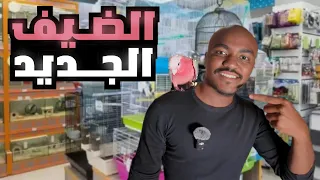 ضيف جديد بسعر 4الاف ريال 