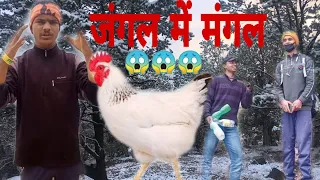 jangal me mangal full funny video video by yogi and teem