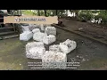 Download Lagu PESONA PEDESAAN SUNGAI ROTAN MUARA ENIM (Panorama Desa Sungai Rotan)