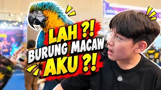 Lagi Kerja, Tiba-Tiba Ketemu Burung Mirip Banget Sama Punya Aku !