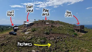 I Turned 20 Acres of Dead Rocks into a Thriving Goat Farm