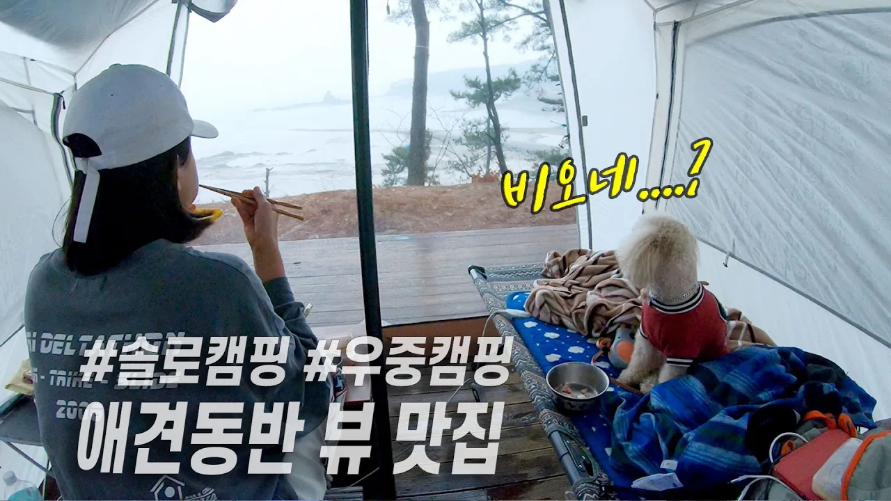 [솔로캠핑]비오네?..우중캠핑/훠궈에 안동소주 크/애견동반 뷰 맛집 청산리오토캠핑장 サムネイル