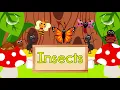 Insect Song