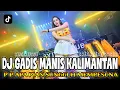 Lagu DJ | GADIS MANIS KALIMANTAN