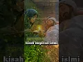 Download Lagu kisah inspirasi islami #kisahislami #fyp