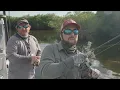 Crystal River Redfish Magic - Incoming Tide Reds