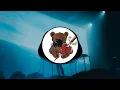 Post Malone - Circles CADU Remix