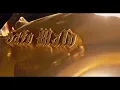 KAROL G, NATHY PELUSO - GATO MALO (Official Music Visualizer)