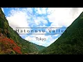 Day trip to Hatonosu Valley - Tokyo's hidden gem【東京・鳩ノ巣渓谷】