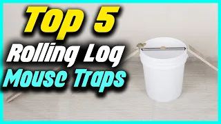 Top 5 Best Rolling Log Mouse Traps Reviews 2022