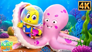 Under the Sea | Learn About Amazing Ocean Animals for Kids